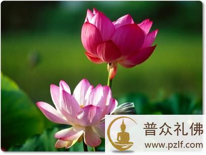 享受福报的同时要积累福报