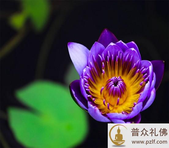 前世吝于法施,今生得愚昧无知之报