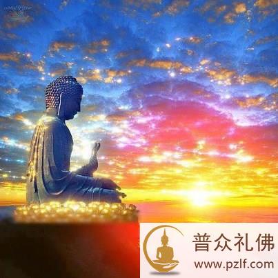 不救一虫,何以救天下