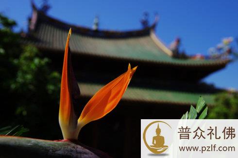 不是境缘困住了你，而是心被迷了