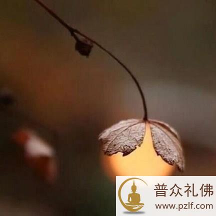 人命如水泡，看起来很美但非常脆弱