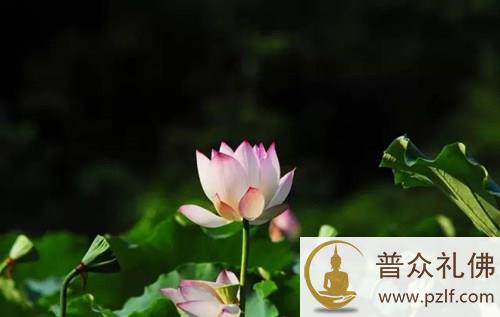 吉凶祸福不是定论,随时可以转变的