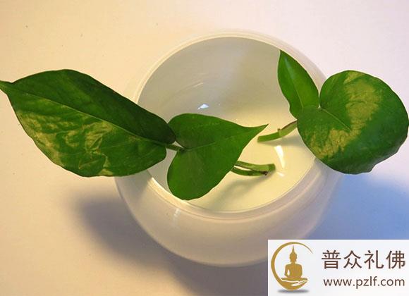 一个人的强大，就是能与不堪的人和事周旋