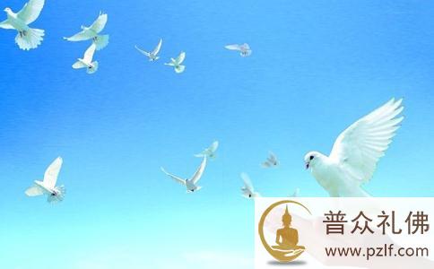 慈悲护生增定力 \