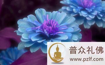 一位出家比丘写给父母的信 一位出家比丘写给父母的信