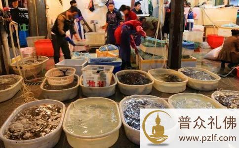 不花钱也能大量放生的方法