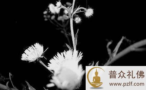 出轨离婚遭报应! 出轨离婚遭报应!