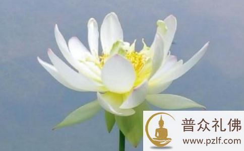 偶然的成功 63条曾国藩经典人生哲理名言 偶然的成功 63条曾国藩经典人生哲理名言