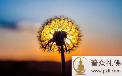 因有三事未了死后找阎王讲理,却被判入饿鬼道? 因有三事未了死后找阎王讲理,却被判入饿鬼道?