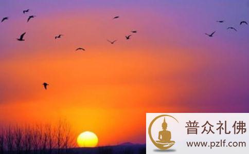 后悔一时贪财而自尽——二十年苦修者的转世轮回 后悔一时贪财而自尽——二十年苦修者的转世轮回