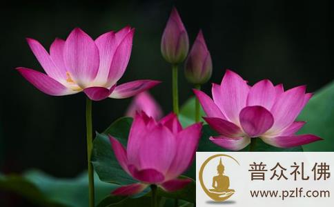 不要让自己在同一地方摔倒 不要让自己在同一地方摔倒