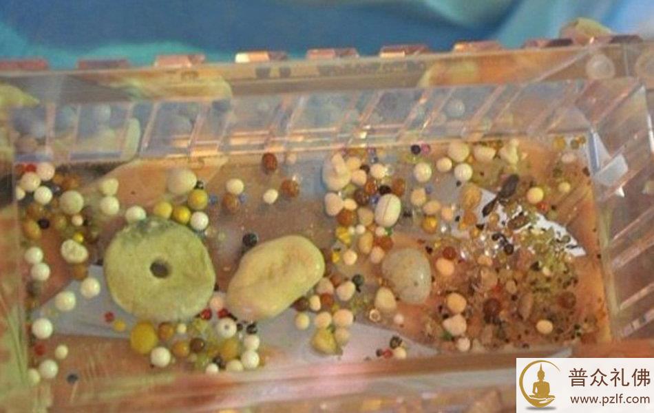 舍利子.jpg