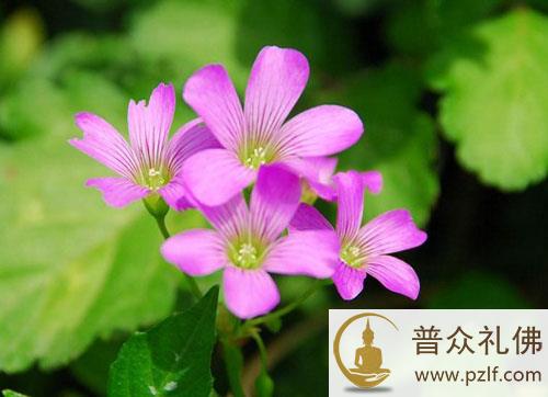 人在愤怒时要有忍劲