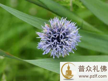 人命到底有多长