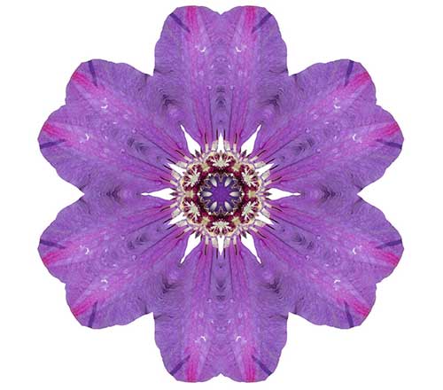 \