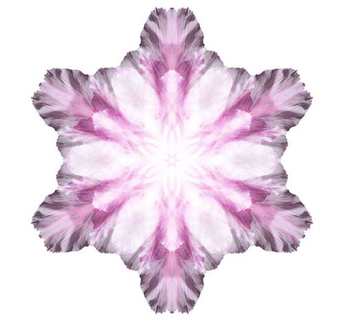 \